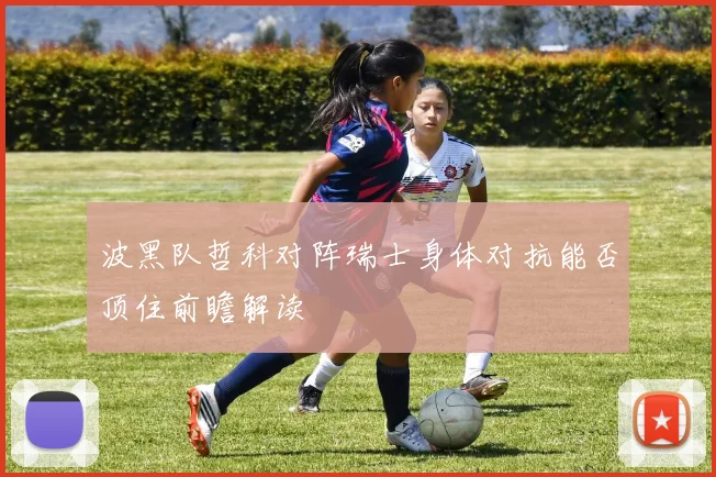 波黑队哲科对阵瑞士身体对抗能否顶住前瞻解读