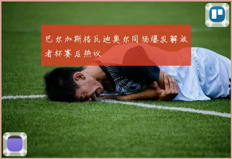 巴尔加斯格瓦迪奥尔同场爆发解放者杯赛后热议