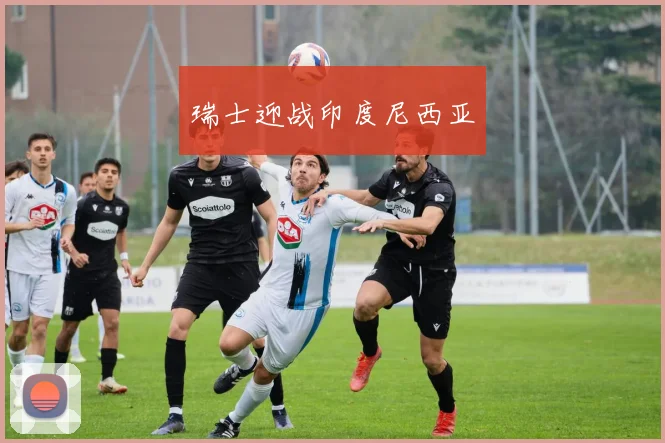 瑞士迎战印度尼西亚