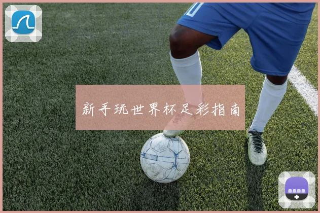 新手玩世界杯足彩指南