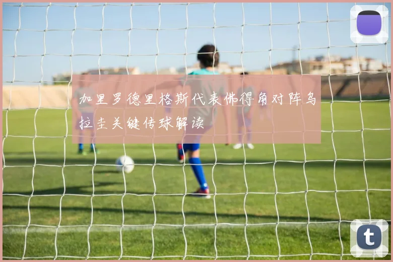 加里罗德里格斯代表佛得角对阵乌拉圭关键传球解读