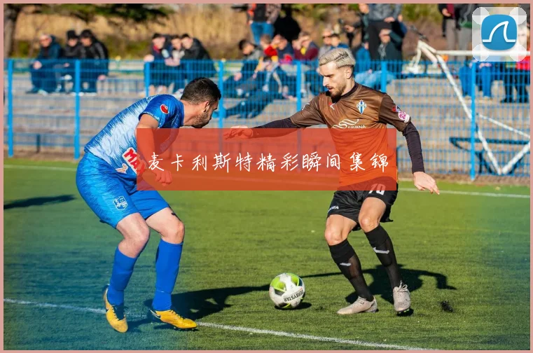 麦卡利斯特精彩瞬间集锦