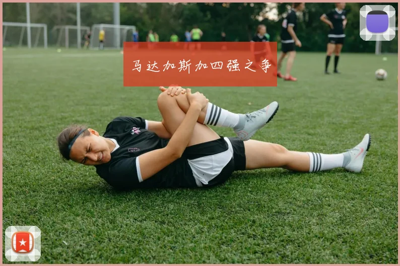 马达加斯加四强之争