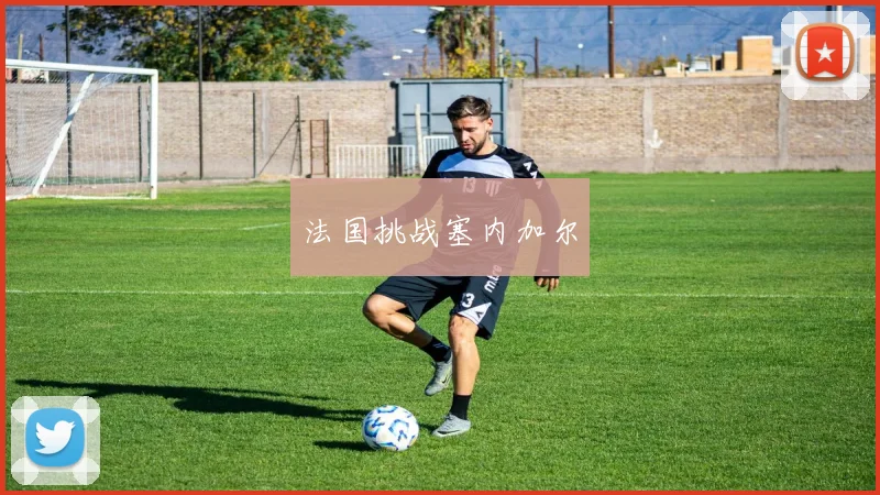法国挑战塞内加尔