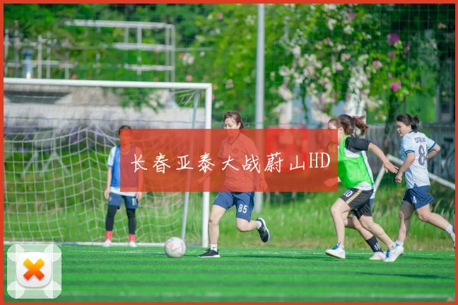 长春亚泰大战蔚山HD