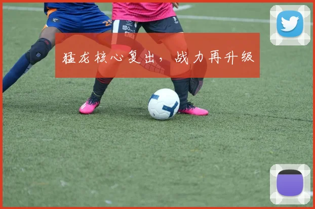 猛龙核心复出，战力再升级