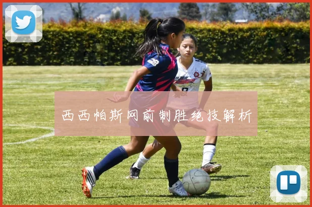 西西帕斯网前制胜绝技解析