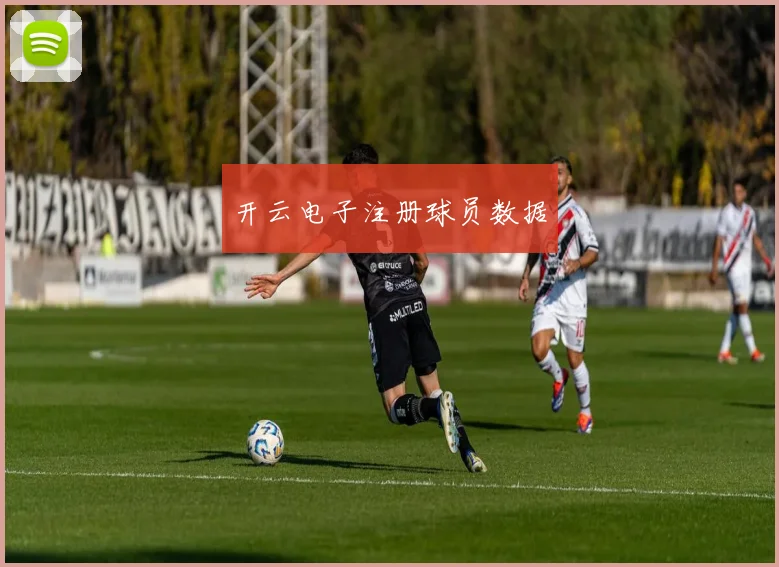 开云电子注册球员数据