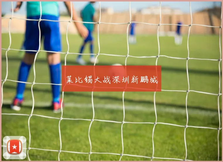 莱比锡大战深圳新鹏城