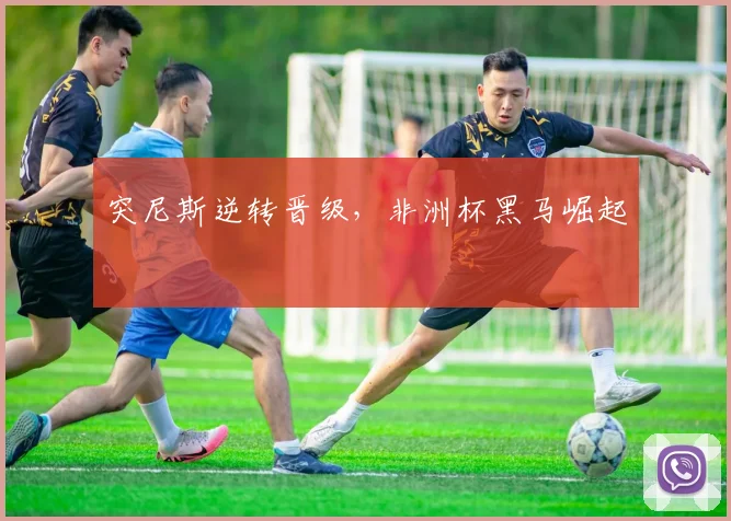 突尼斯逆转晋级，非洲杯黑马崛起