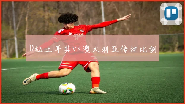 D组土耳其vs澳大利亚传控比例